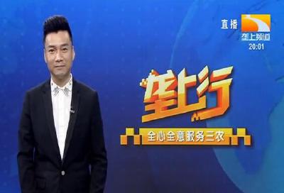 垄上行 2021-10-29