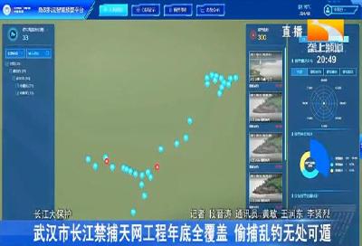 武汉市长江禁捕天网工程年底全覆盖 偷捕乱钓无处可遁
