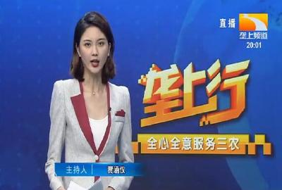 垄上行 2021-11-14