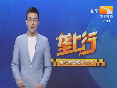 垄上行 2021-11-09