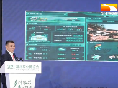 科技赋农 2021数字乡村发展大会在武汉举办
