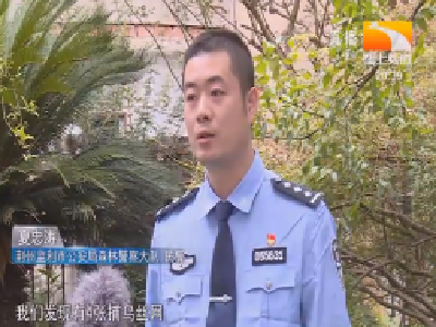 稻田设网非法猎捕 民警逮你没商量