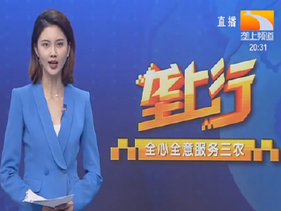 垄上行 2021-11-18