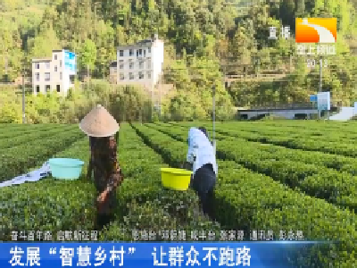 发展“智慧乡村” 让群众不跑路