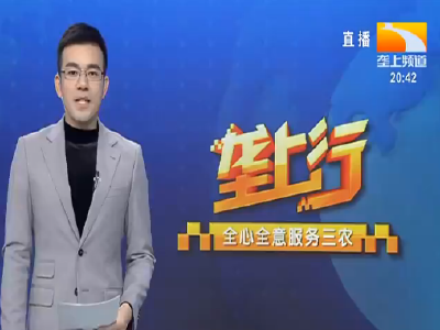 垄上行 2021-11-08