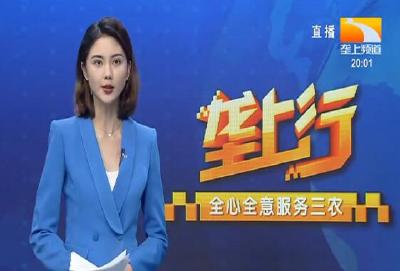 垄上行 2021-11-13