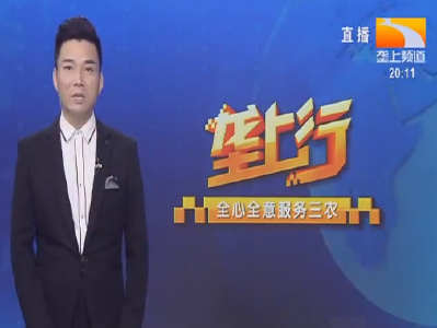 垄上行 2021-11-10