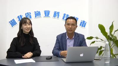 回播 | 小龙虾“育养分区”模式最新技术流程解析