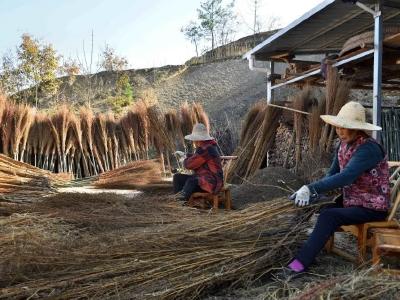 保康白竹头村：“铁扫帚”变成“摇钱树”