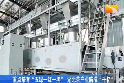 重点培育 “五绿一红一黑” 湖北茶产业瞄准“千亿”