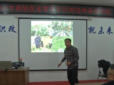 林果培训班开在家门口 助乡亲吃上“旅游饭”