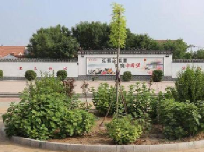 宜昌已创建4702个“美丽庭院”  扮靓乡村