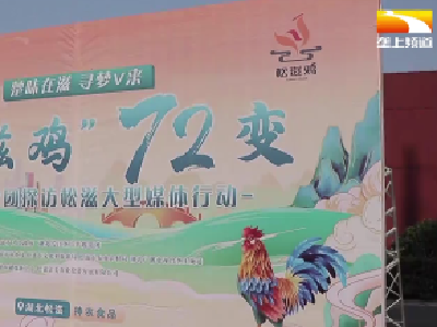 练就“72变”本领 助松滋鸡振翅高飞