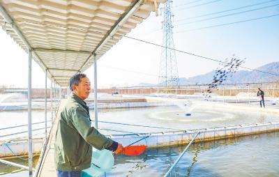 黄石发展淡水鱼特色养殖助农民增收