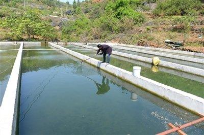 咸宁老兵乡村谋发展 兴业闯出致富路