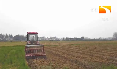 宜昌：油菜、小麦抗旱和防冻技术措施