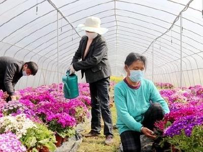 大冶市灵乡镇因地制宜  激活乡村振兴新动能