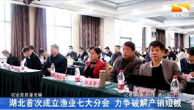 湖北首次成立渔业七大分会 力争破解产销短板