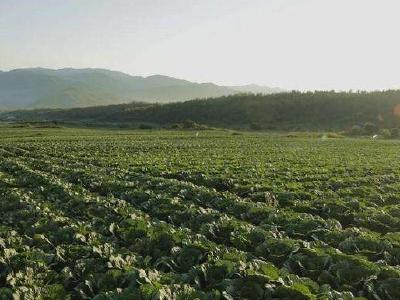 湖北省三基地入选全国首批种植业“三品一标”基地
