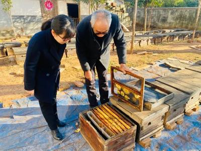 追花逐蜂练＂功＂忙 父女困境＂蜜＂出路