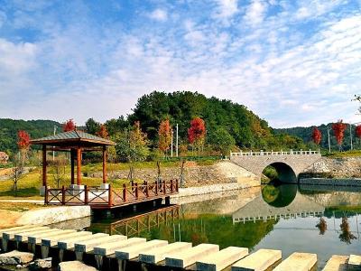武汉新洲道观河风景旅游区：乡村振兴迈出“兴”步伐