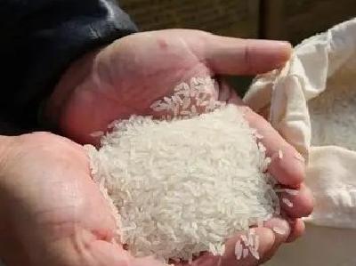 培育本土种子“芯片”壮大稻米产业链 武汉首评“十大优米”