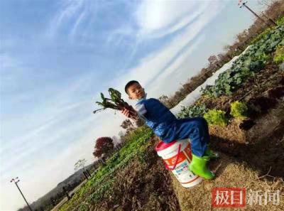 武汉124位都市农夫，租地种菜过田园生活
