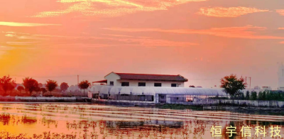 武汉恒宇信池塘循环水流水养殖案例