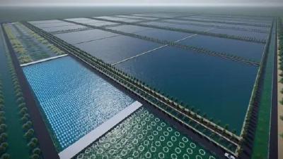 把实验室搬到水田里 “一稻两虾”让农户荷包更暖和