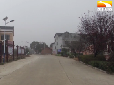 爱心路灯送光明 照亮乡村幸福路