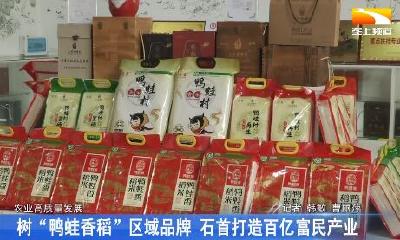 树“鸭蛙香稻”区域品牌 石首打造百亿富民产业