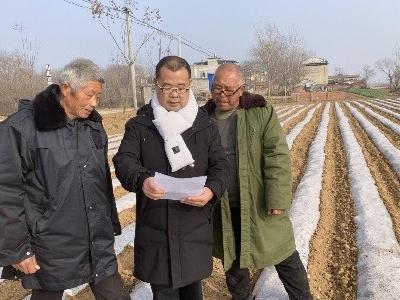 襄阳襄州：土豆变成“金元宝” 国内国外都畅销
