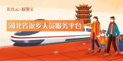 湖北省返乡人员服务平台