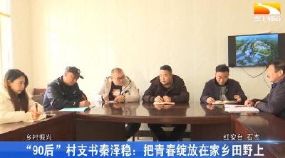 “90后”村支书秦泽稳：把青春绽放在家乡田野上