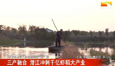 三产融合 潜江冲刺千亿虾稻大产业