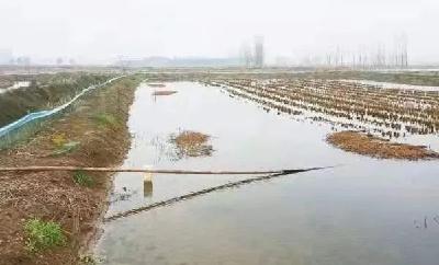 “三池两坝（稳定塘+过滤坝）”尾水处理模式