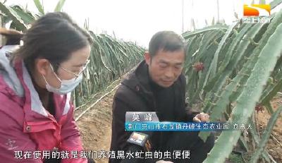 拿出一个亿 返乡能人专注生态可循环农业