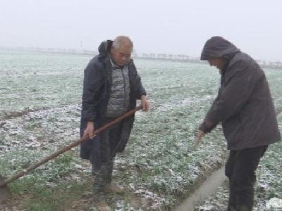 襄州：农技专家进田间 助农应对雨雪天