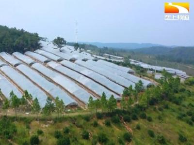 打造“绿色银行” 乡亲们享受生态红利