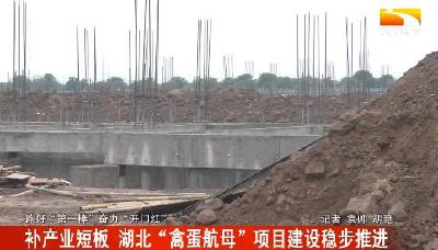补产业短板 湖北“禽蛋航母”项目建设稳步推进