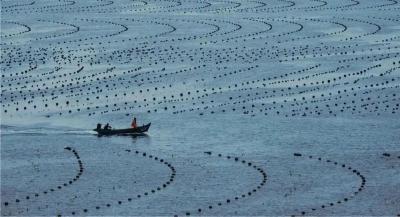 养殖权的物权性质与制度建设探析