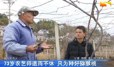 73岁农艺师退而不休 只为种好猕猴桃