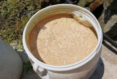 为您整理总结酵母菌在水产养殖过程中都有那些作用以及用法