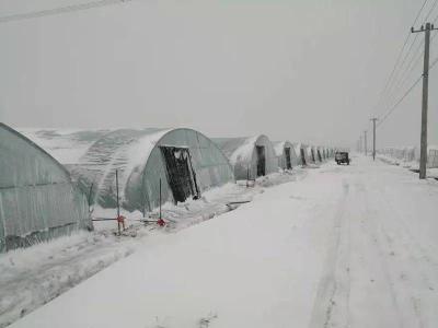 湖北省应急办部署春节前后 低温雨雪天气防范应对工作