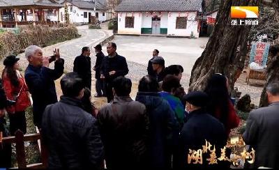 一棵树兴一个村 乡亲吃上“旅游饭”
