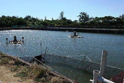 巧判水色，才搞好养殖！那么水色判断，有哪些技巧呢？