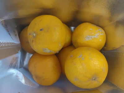 四个季节柑橘补充氮磷钾有机肥的使用方法