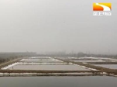 洪湖无抗草鱼热销全国 无抗养殖为湖北农品添新动能
