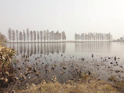 未来一周湖北持续低温雨雪