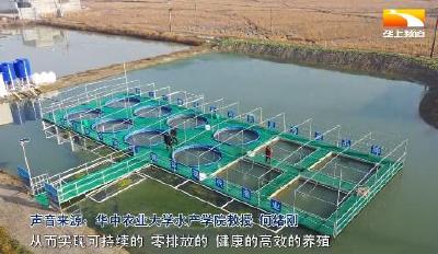 特色足效益高 “葛大胆”打破陈规桶养特种鱼